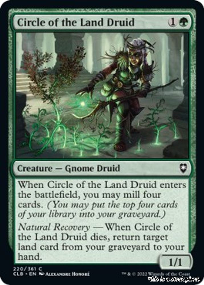 Circle of the Land Druid