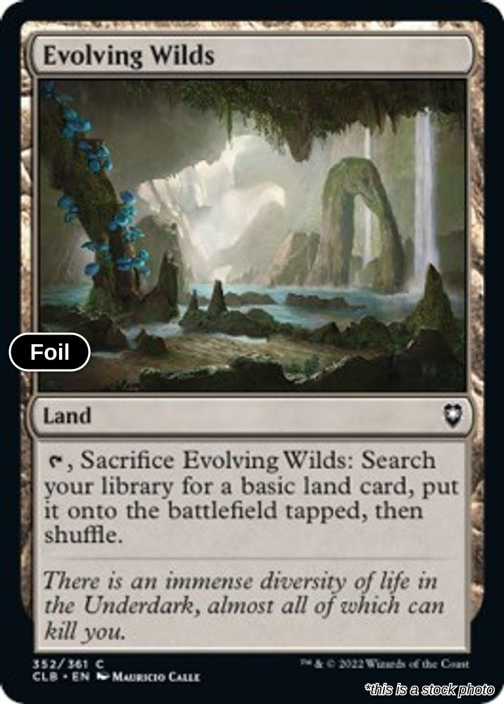 Evolving Wilds