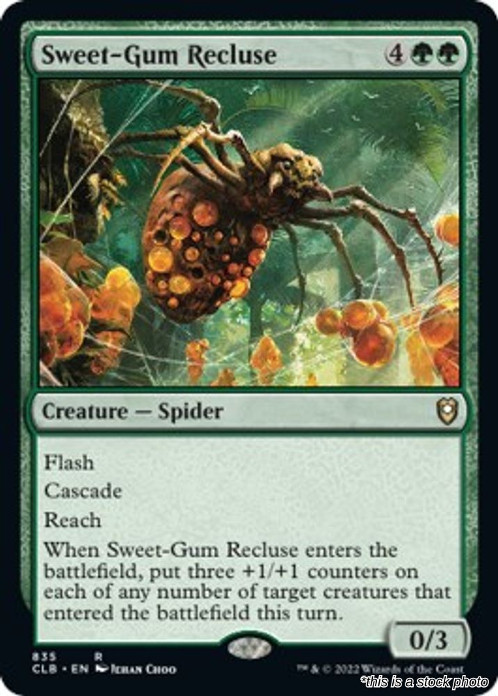 Sweet-Gum Recluse