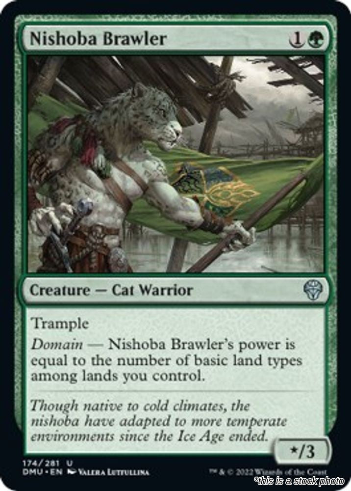 Nishoba Brawler