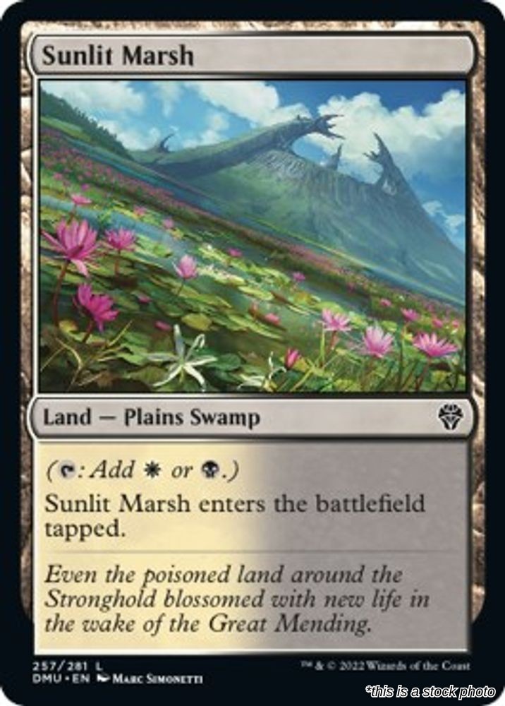 Sunlit Marsh