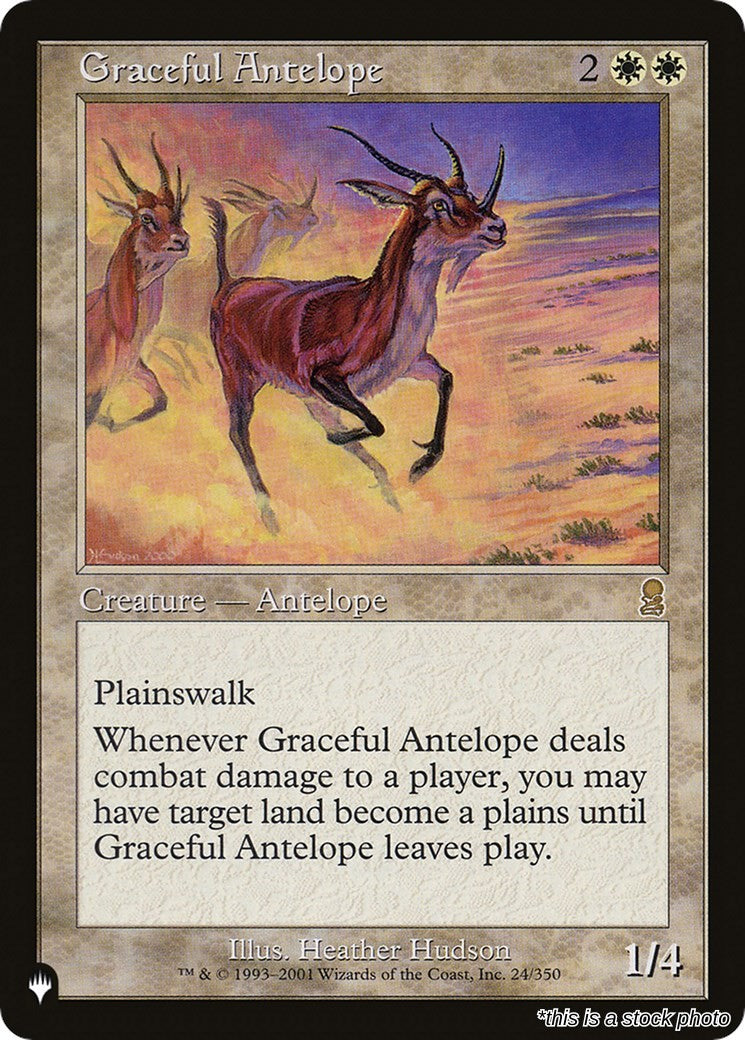 Graceful Antelope