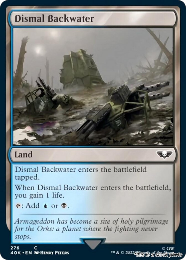 Dismal Backwater