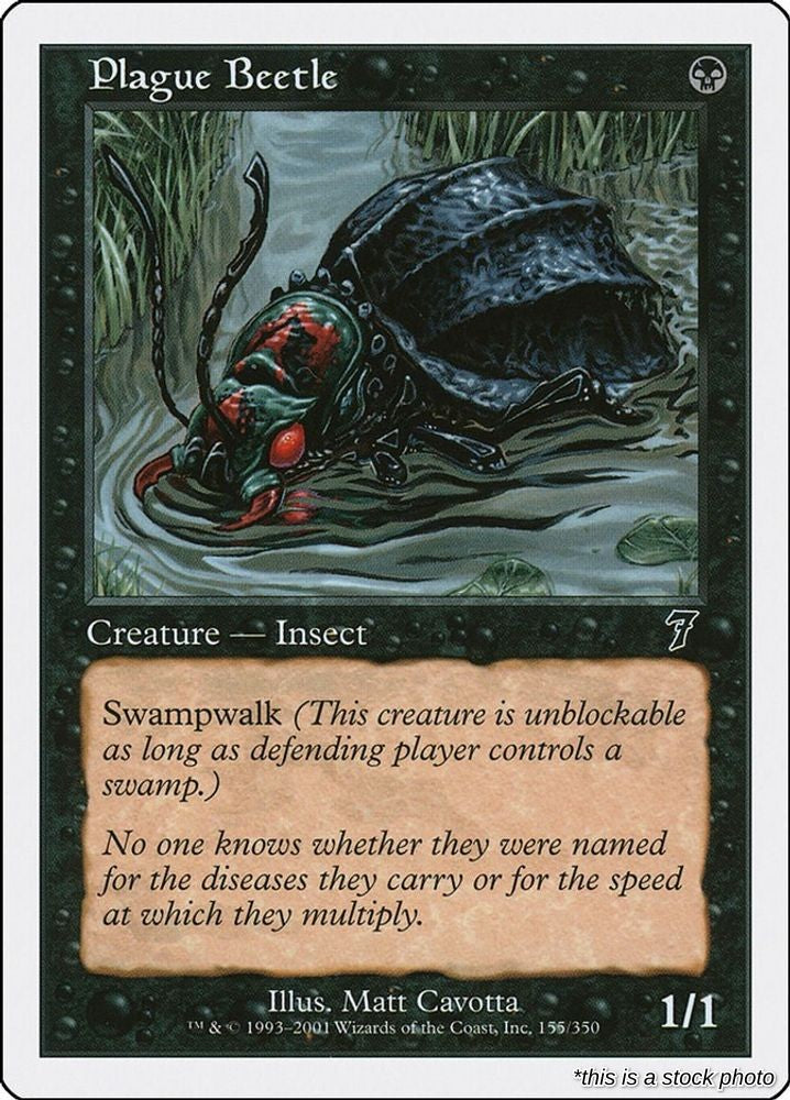 Plague Beetle