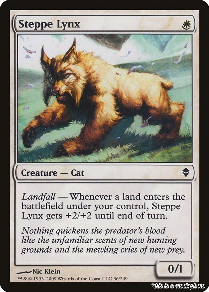 Steppe Lynx