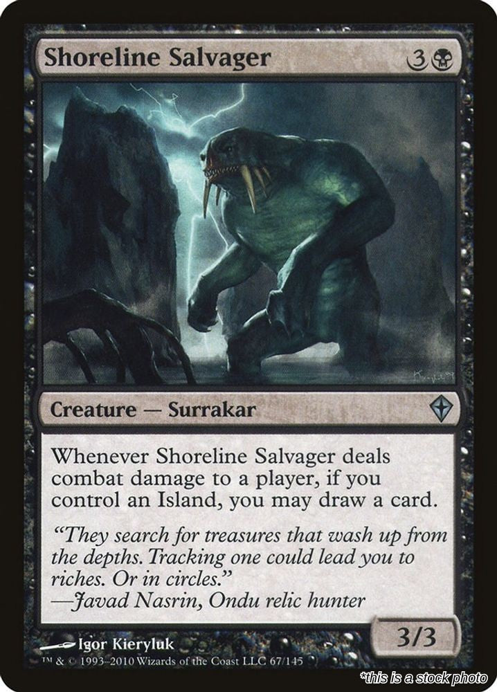 Shoreline Salvager