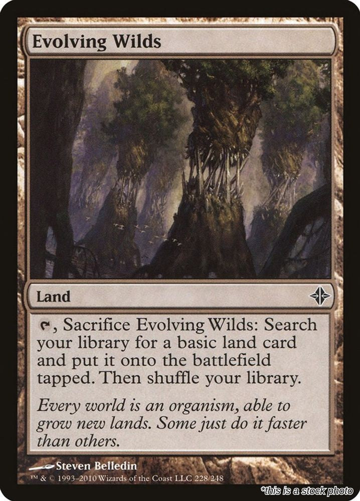 Evolving Wilds