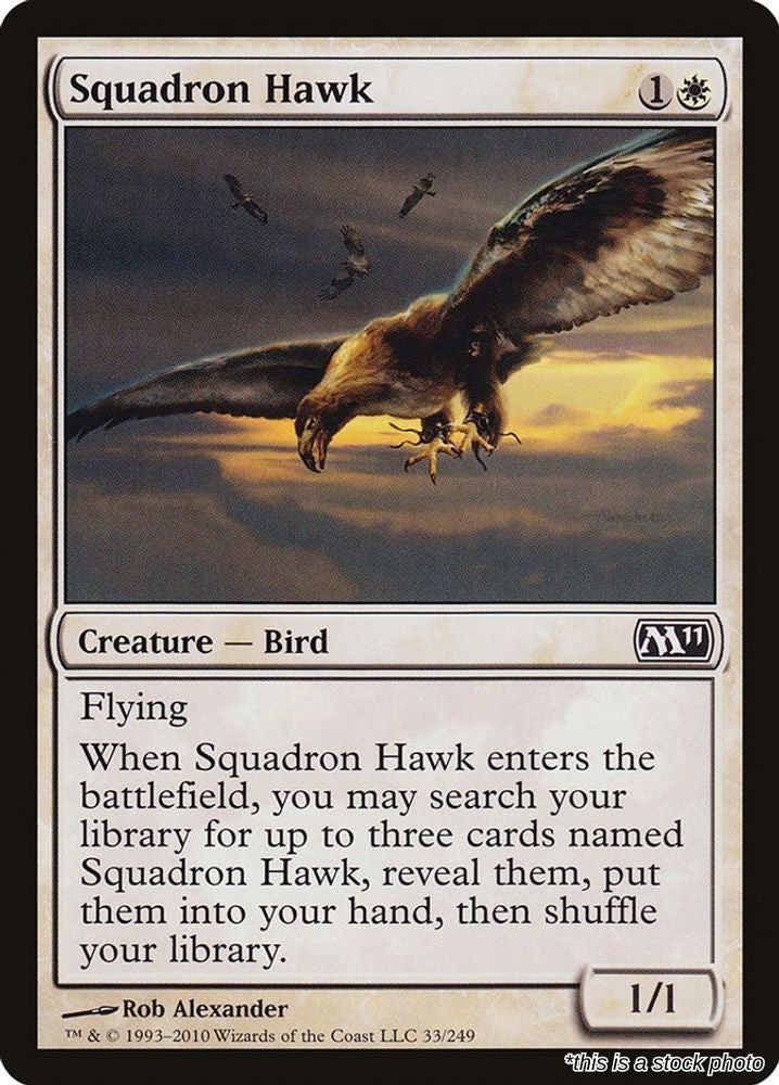 Squadron Hawk