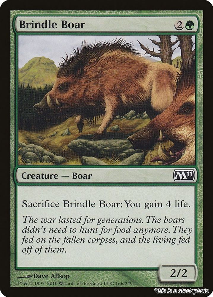 Brindle Boar