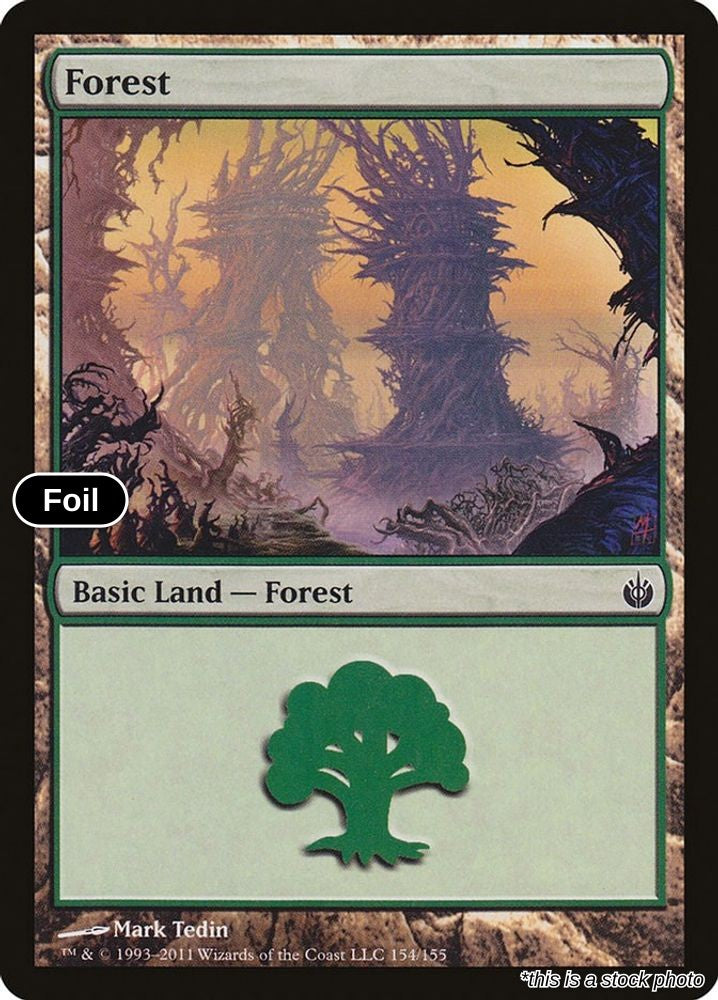 Forest (154)
