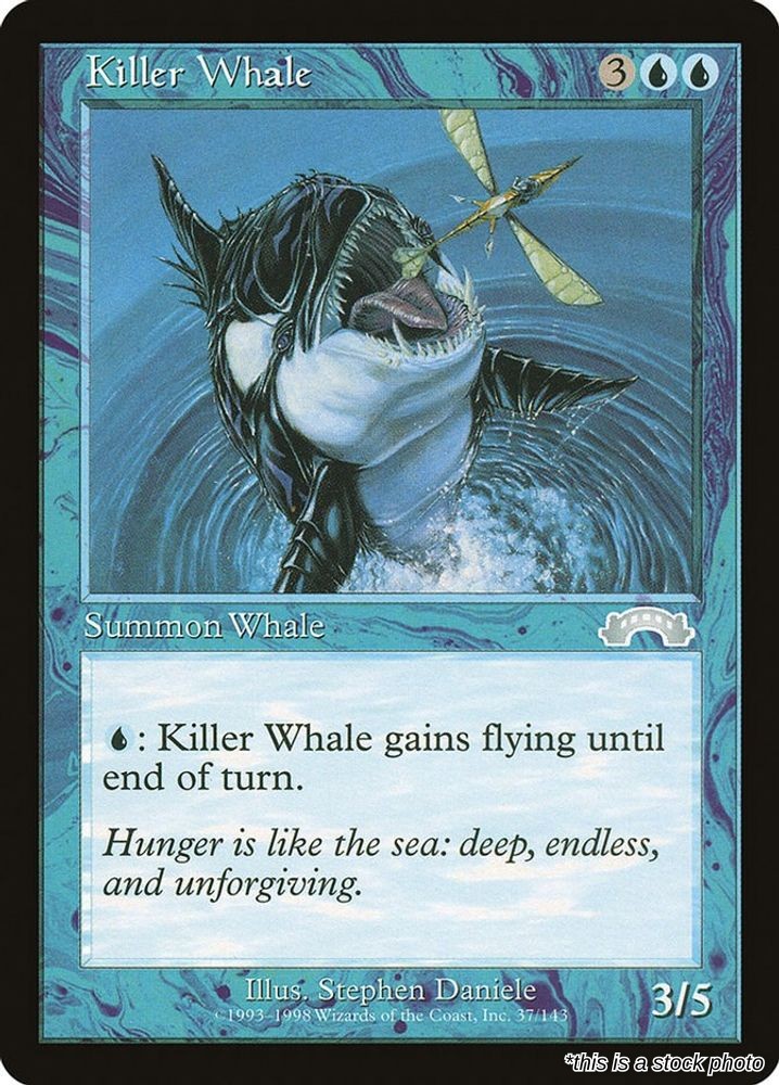 Killer Whale