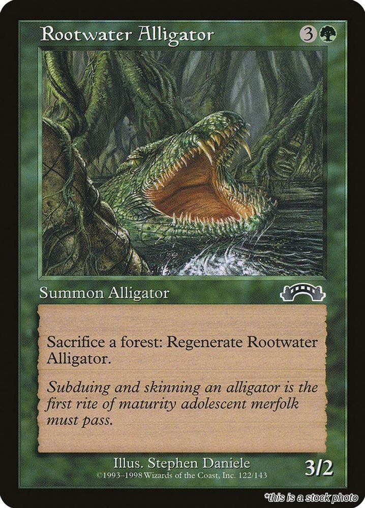 Rootwater Alligator
