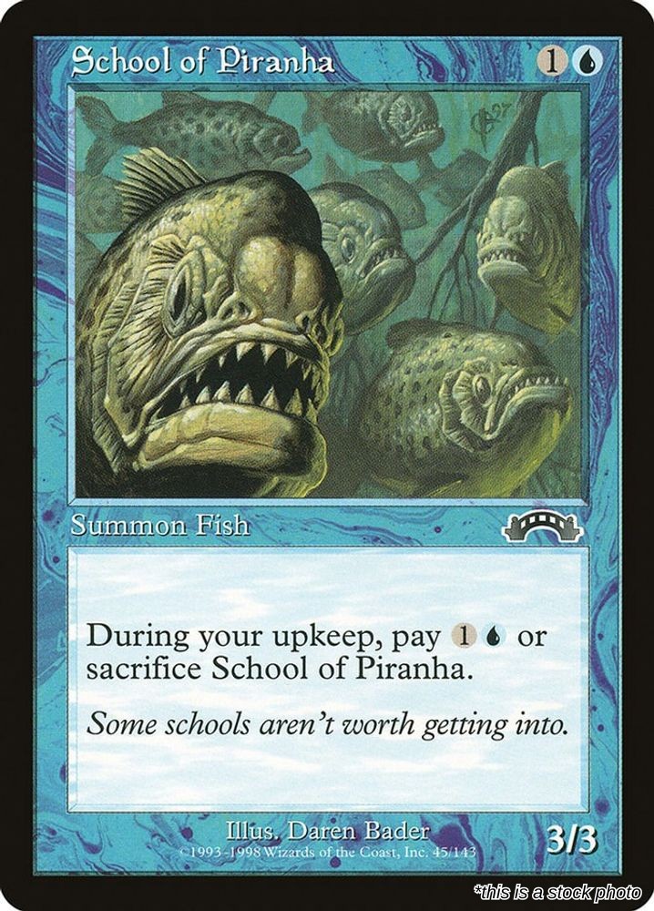 School of Piranha