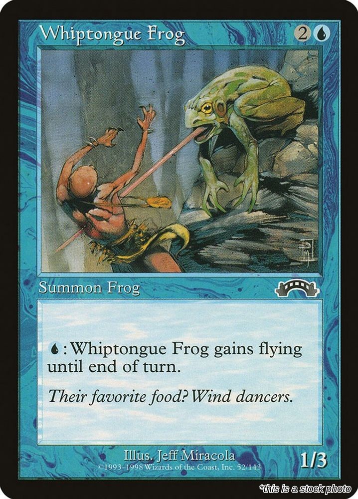 Whiptongue Frog