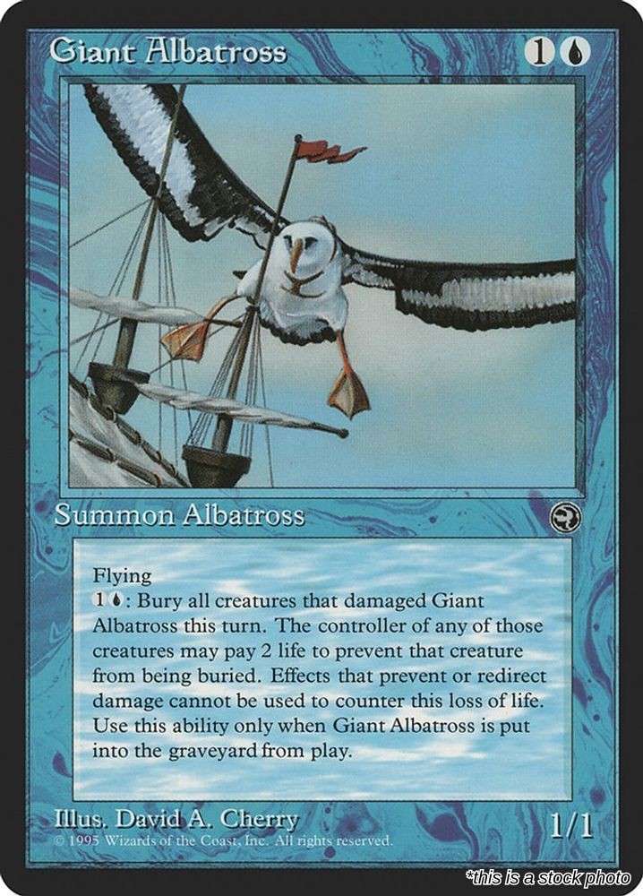 Giant Albatross