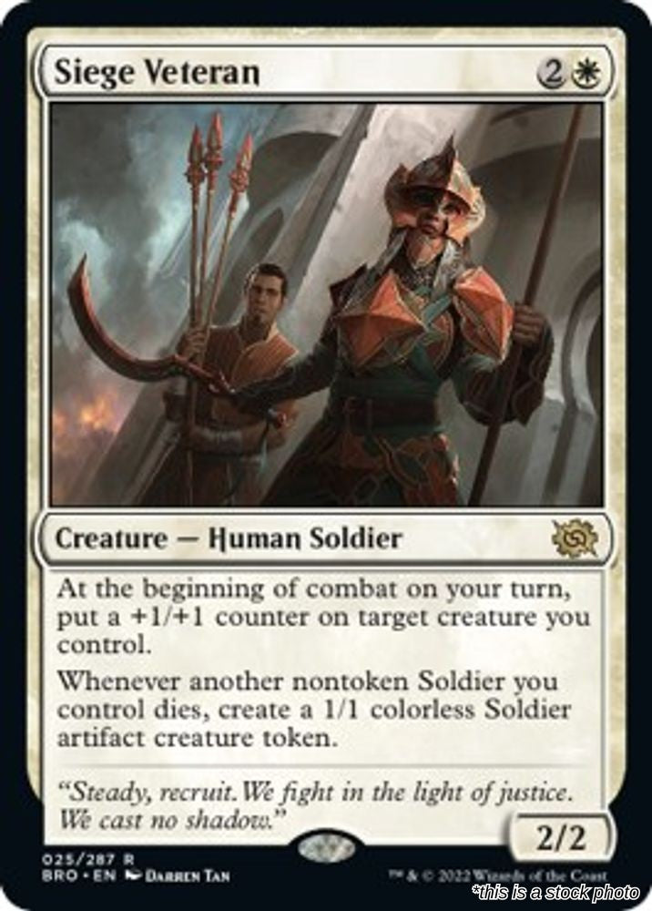 Siege Veteran