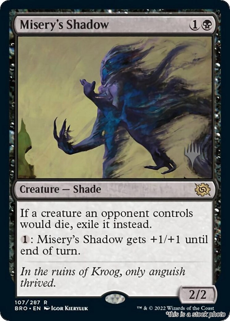 Misery's Shadow