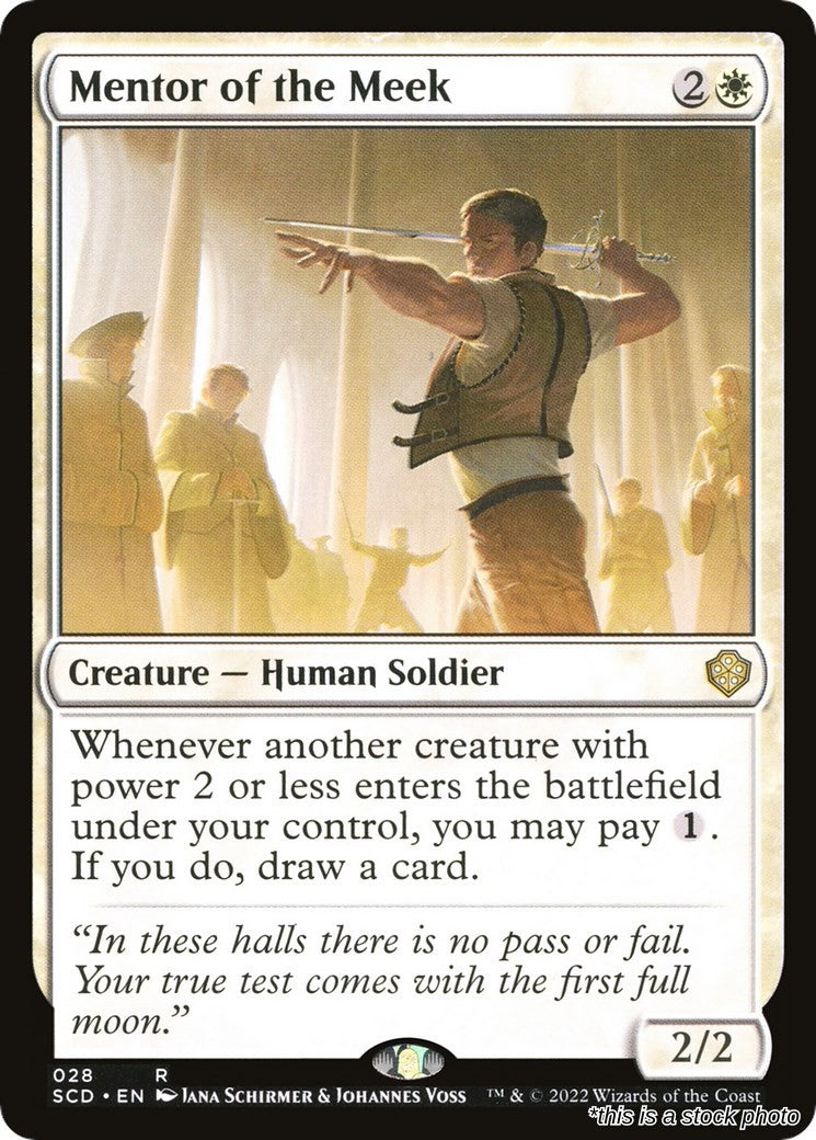 Mentor of the Meek