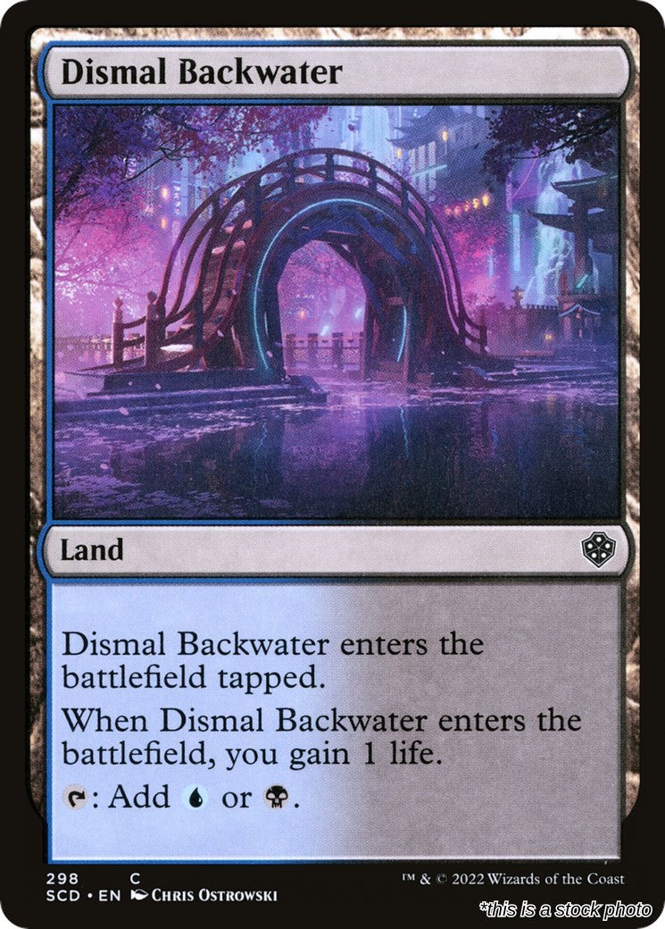 Dismal Backwater
