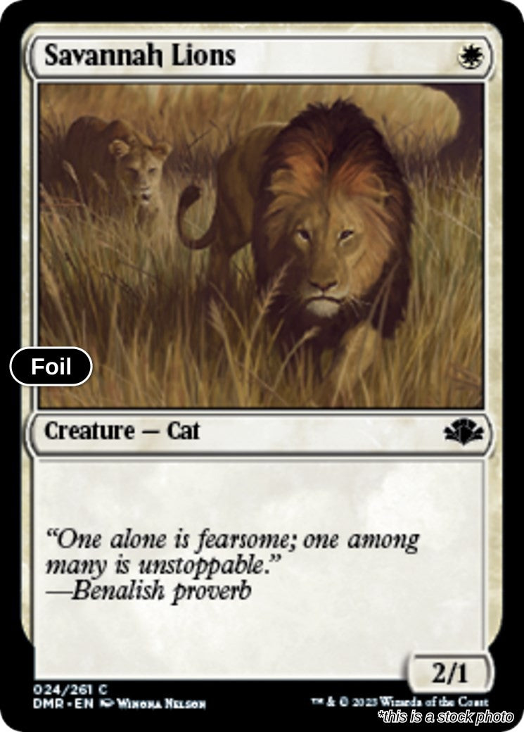 Savannah Lions