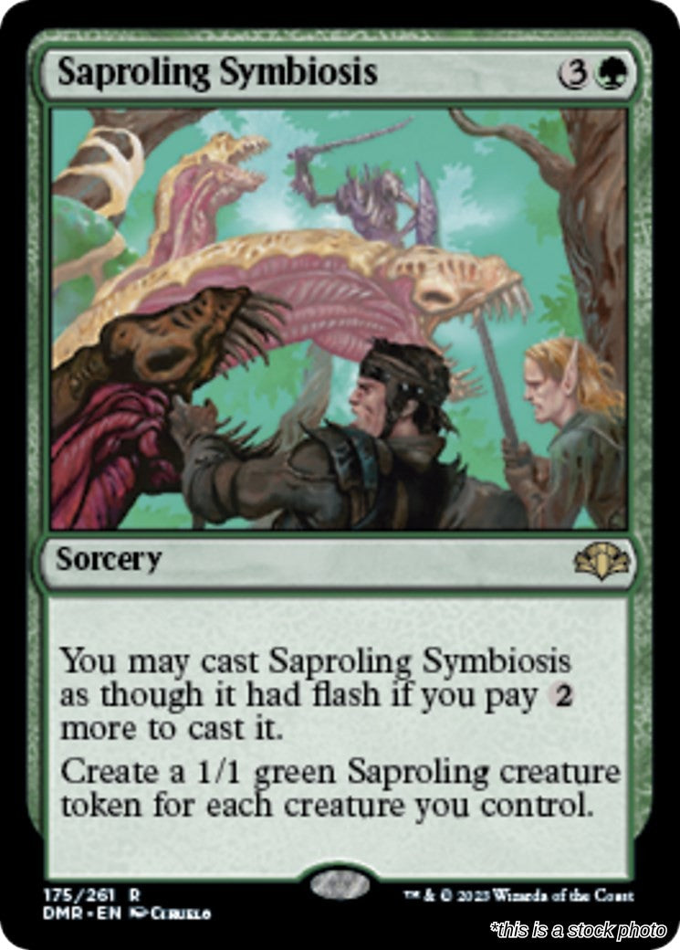 Saproling Symbiosis