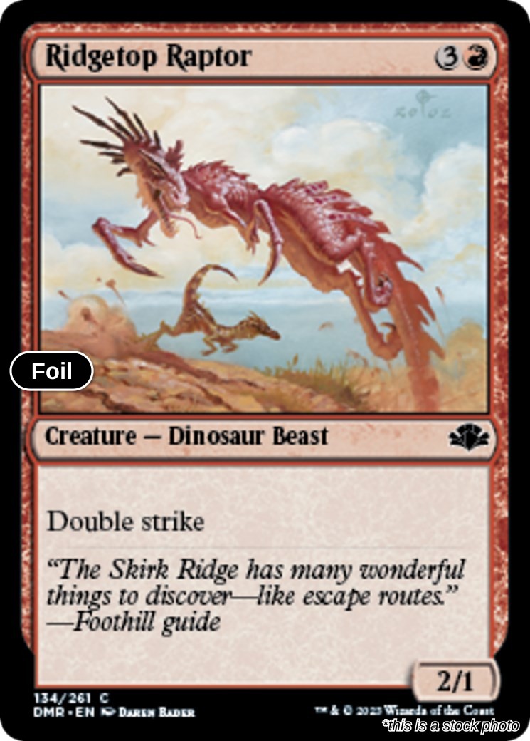 Ridgetop Raptor