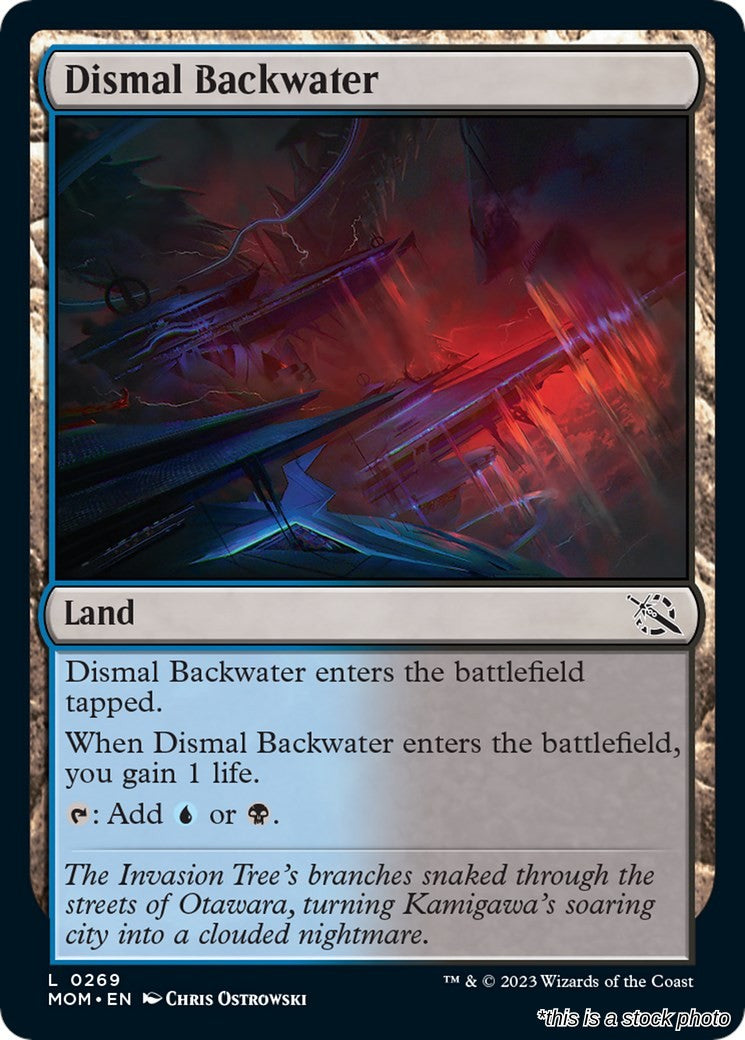 Dismal Backwater