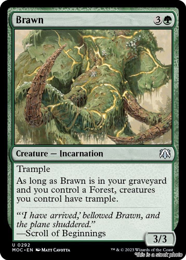 Brawn