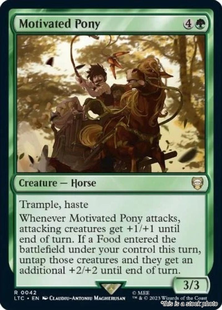 Motivated Pony