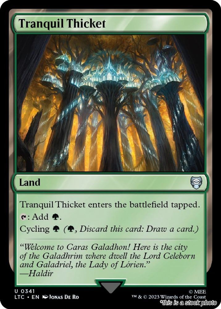 Tranquil Thicket
