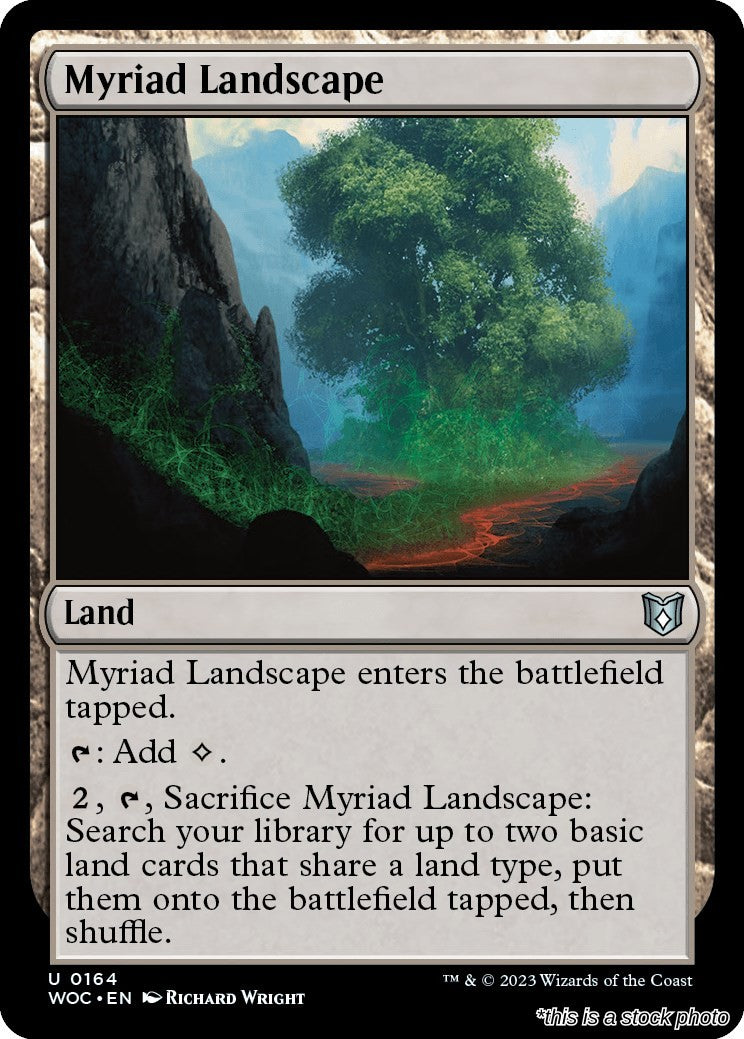 Myriad Landscape