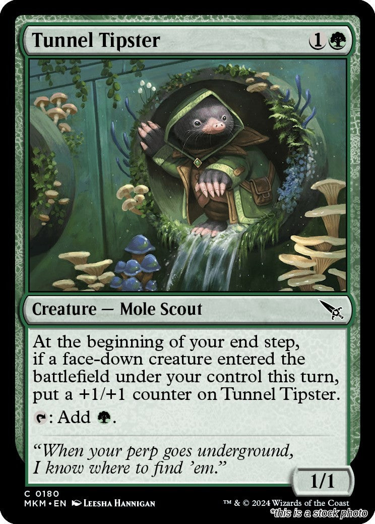 Tunnel Tipster