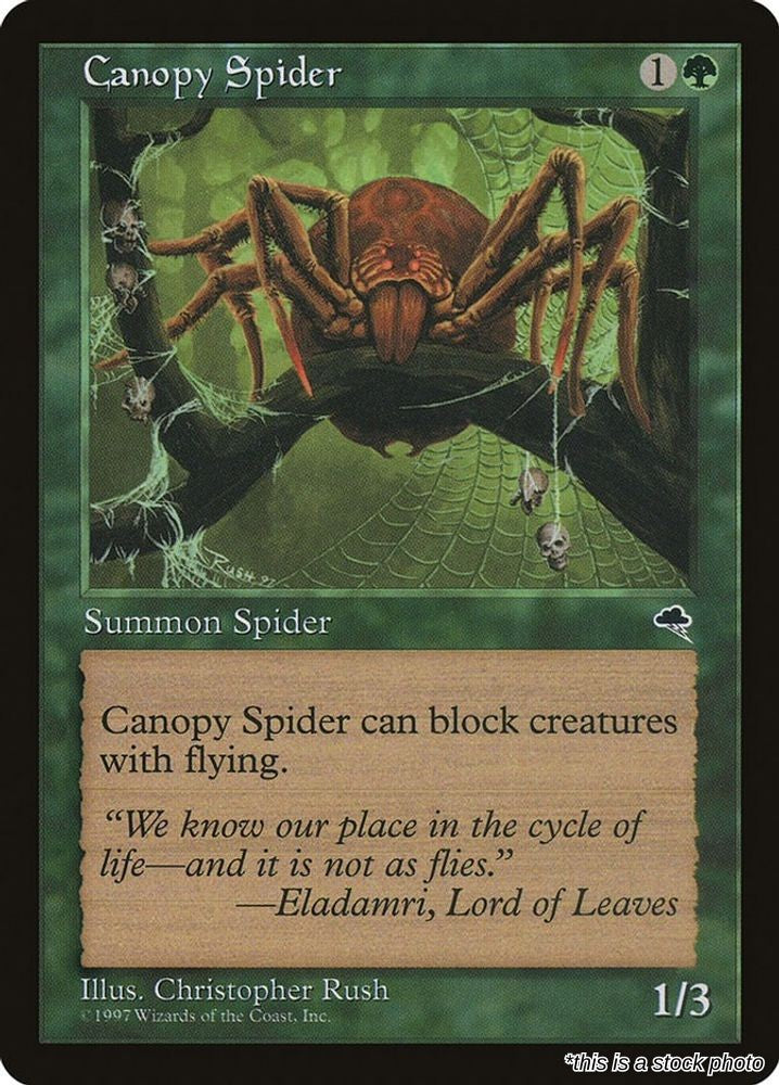 Canopy Spider