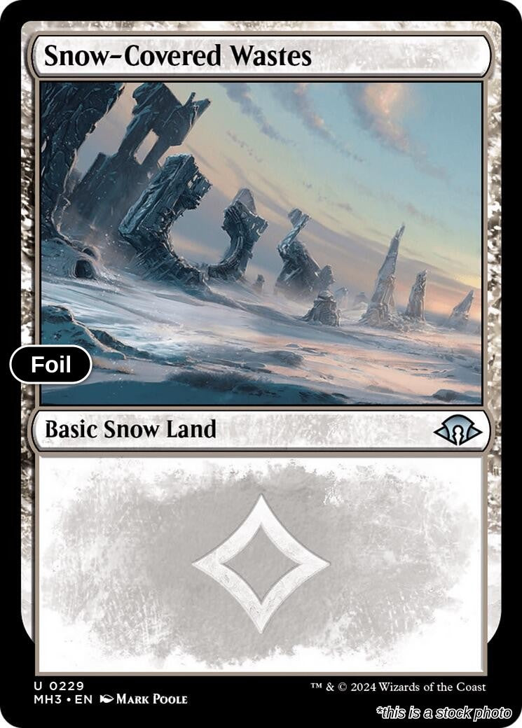 Snow-Covered Wastes (0229)
