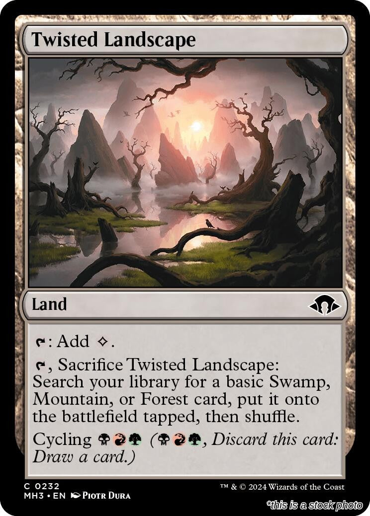Twisted Landscape