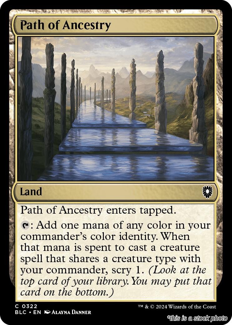 Path of Ancestry