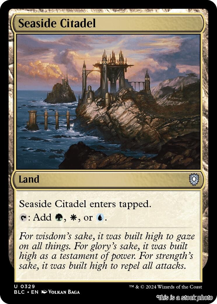 Seaside Citadel