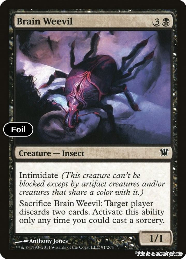 Brain Weevil
