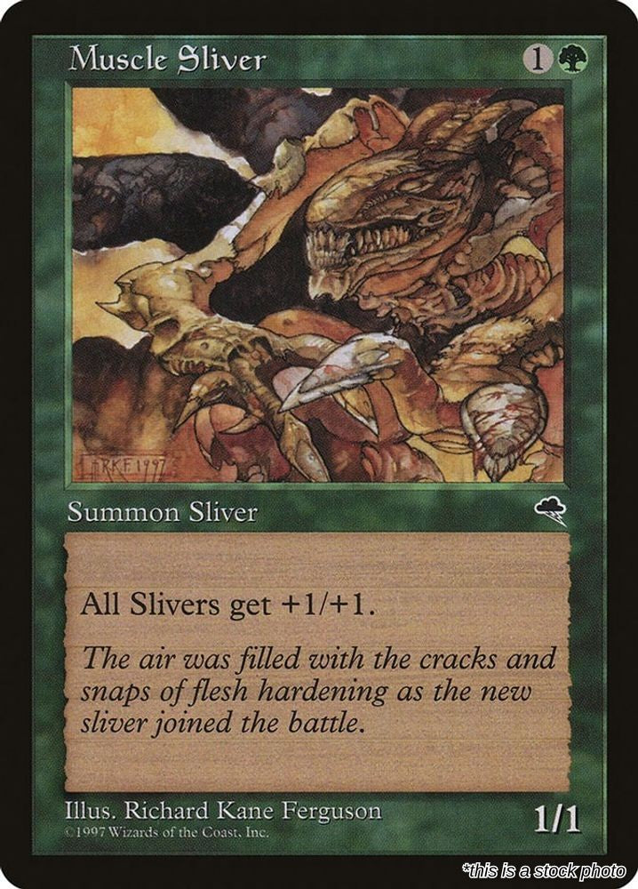 Muscle Sliver