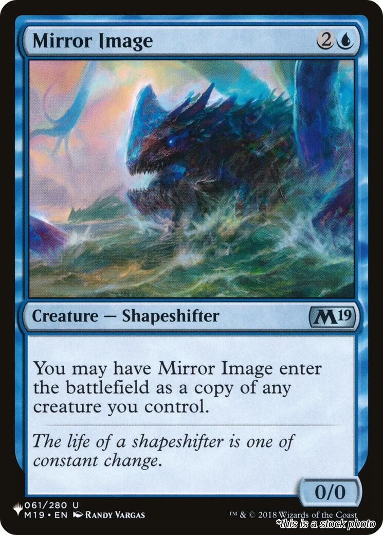 Mirror Image