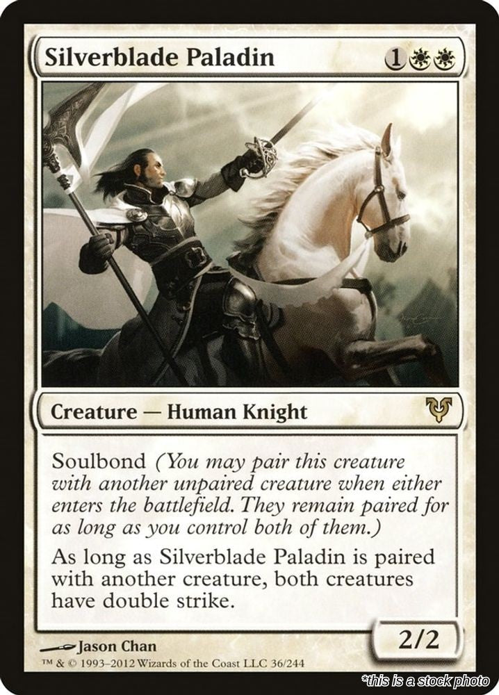 Silverblade Paladin