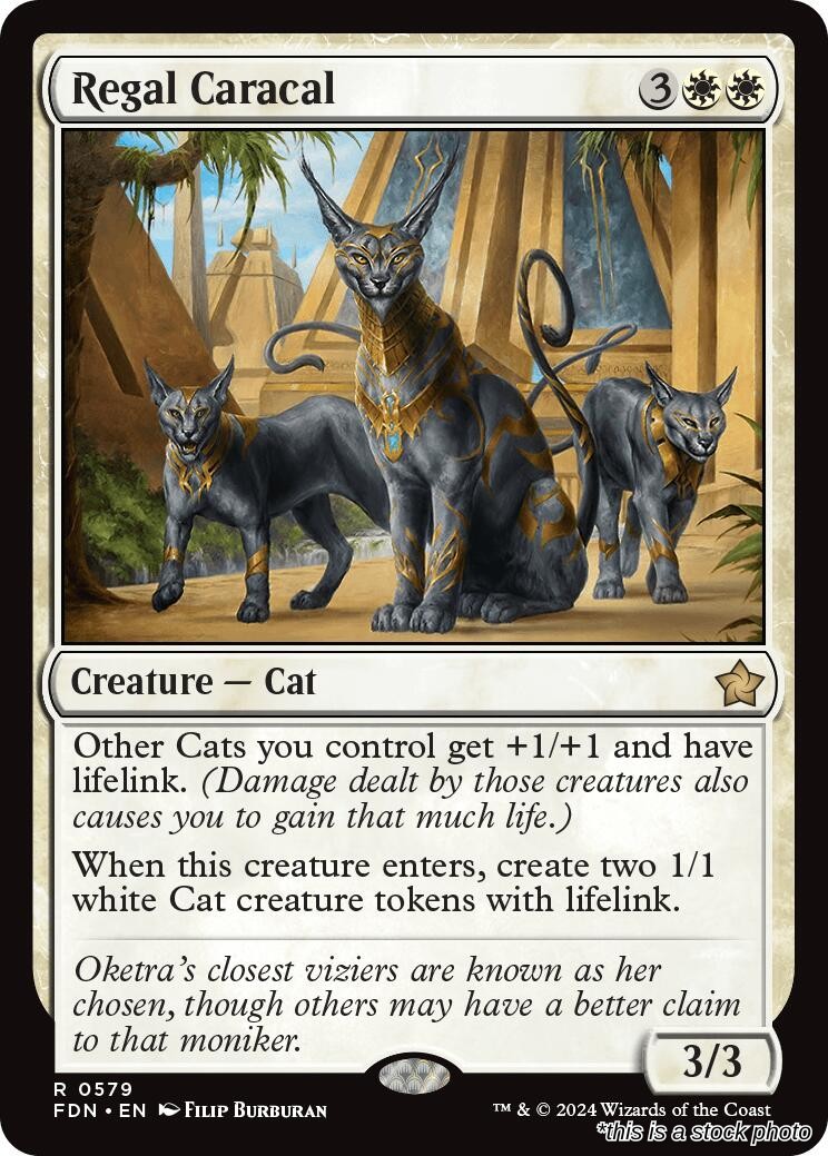Regal Caracal