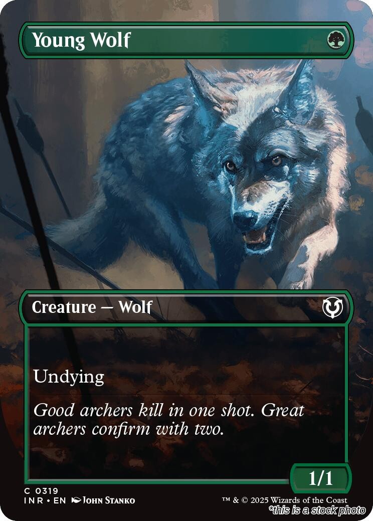 Young Wolf (Borderless)