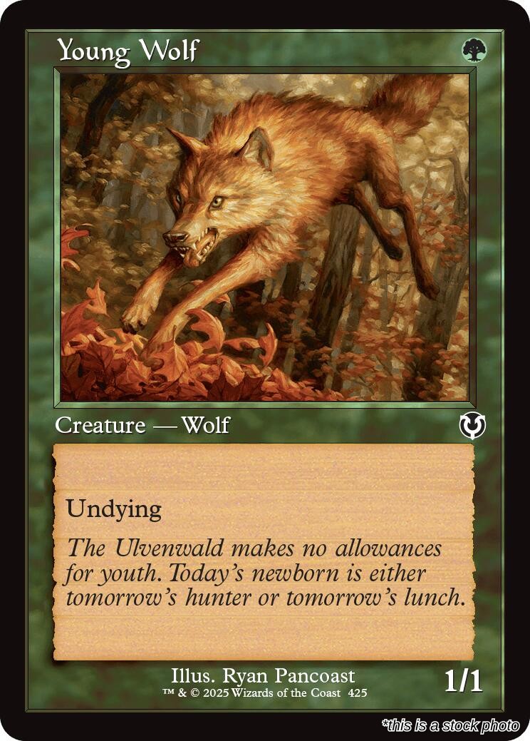 Young Wolf (Retro Frame)