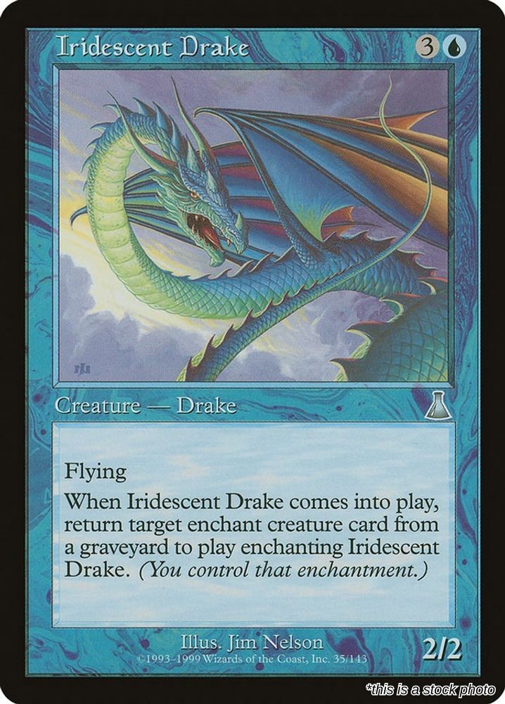 Iridescent Drake