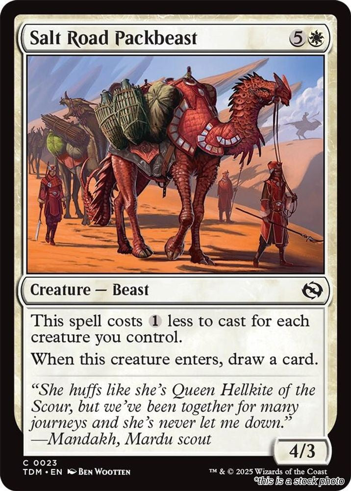 Salt Road Packbeast