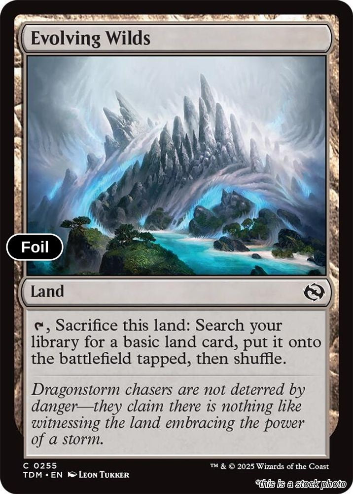 Evolving Wilds