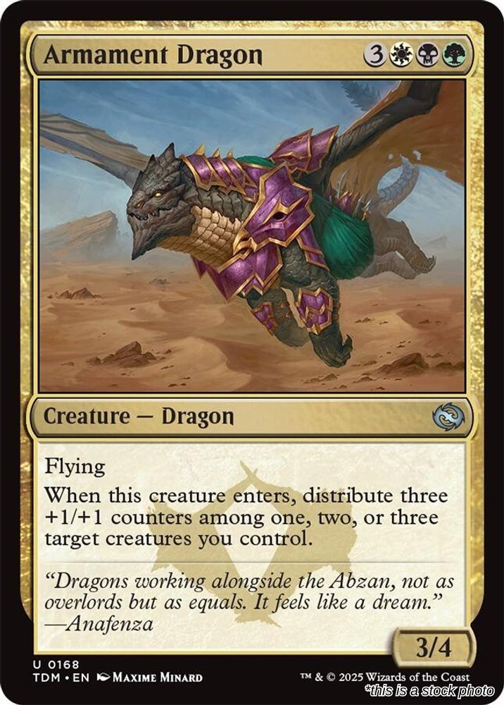 Armament Dragon