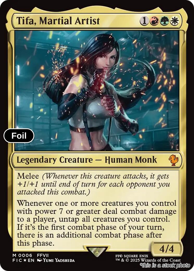 Tifa, Martial Artist