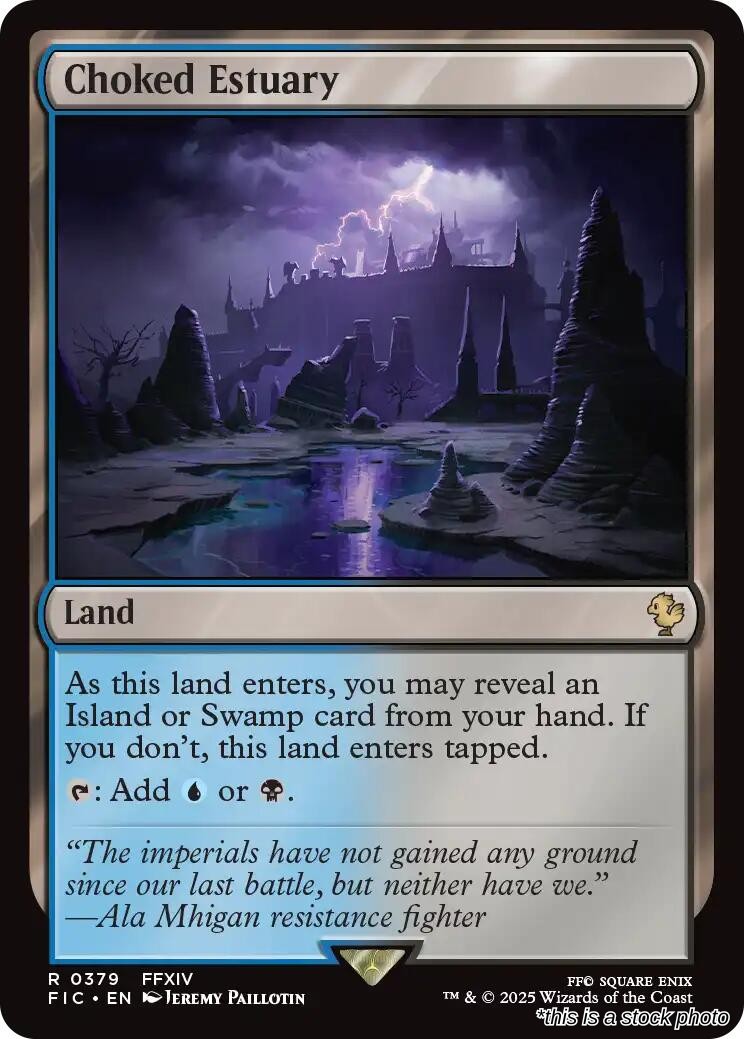Choked Estuary